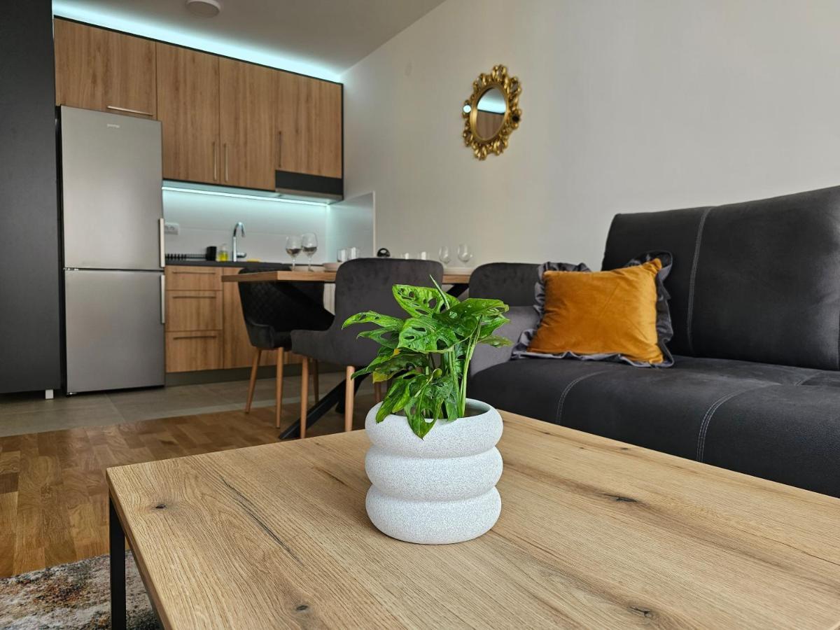 Sun&Moon Apartments Нови-Сад Экстерьер фото